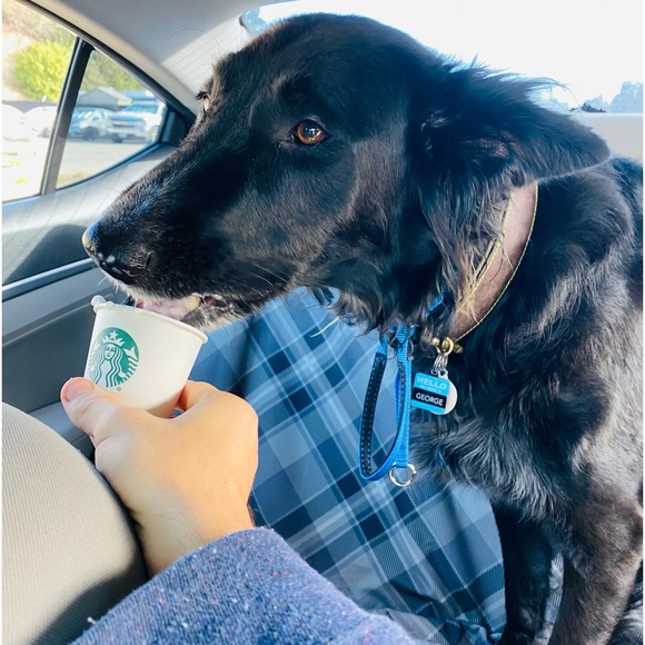 George & Luke 🖤💛 - Picture 8 of 8